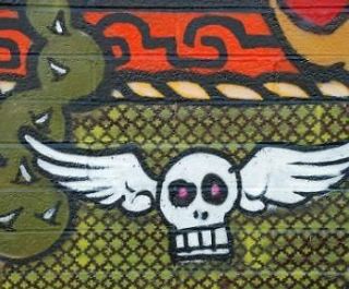   Skull with Wings Full Image 50 x 60 Fleece Blanket Bedding Throw