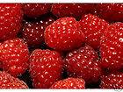 Raspberries / Raspberry 40 Cavity Silicone Mold # 296