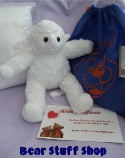 Make a Bear Backpack Kit  15 White Lamb   Build a Teddy Bear Party