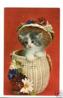 KITTEN CAT IN BASKET WITH LID AND FLOWERS POSTCARD