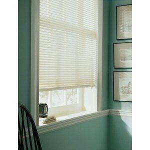 Mini Blinds in Blinds & Shades