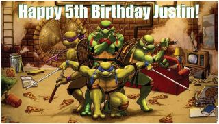   Vinyl Teenage Mutant Ninja Turtles Birthday Party Banner Decorations