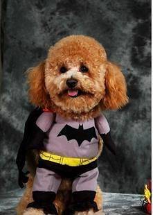  New Batman Soft Dress Clothes & Mantle For Dog Cat