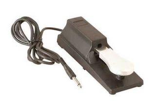 keyboard sustain pedal in Electronic Instruments