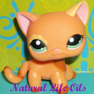 Littlest Pet Shop~#1643 PUMPKIN ORANGE SHORT HAIR KITTY CAT Green Eyes 