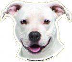 American Staffordshire Terrier Dog Magnet