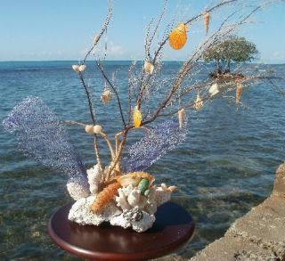 SEAFOOD RESTAURANT Designer Deco Centerpiece   Corals, SeaShells 