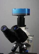 High Rez Tucsen 10.0 MP C mount Microscope Camera USB 2