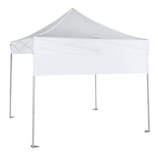 NEW 10x10 Eurmax instant Canopy Tent out door shade tent /roller 