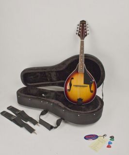 Musical Instruments & Gear  String  Mandolin