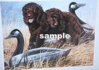 IRISH WATER SPANIEL PUPPIES LIMITED EDITION COLOR PRINT BY VAN LOAN