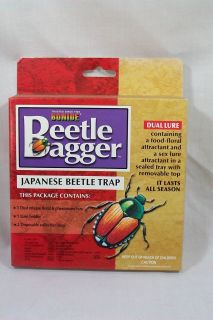 japanese beetle traps