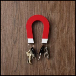shaped Magnetic Key Holder   Wall mountable With Magnetic Tips
