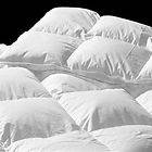 KING Hungarian Goose Down Comforter 50 oz 800 Fill Pwr