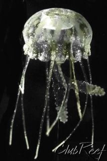 Jellyfish Aquarium Ornament Eshopps Large 4 Clear