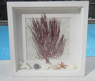 Soft Coral Sea Fan Shadow Box Art w/ Starfish & Shells   Coastal Beach 
