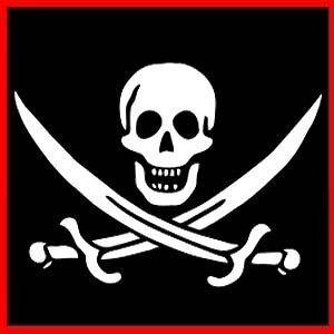 PIRATE FLAG (Navy Seals Skull Skeleton The Bay) T SHIRT