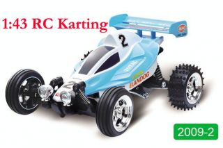   Radio Remote Control Racing Savage Buggy RC Car Kart Mini Racer Blue