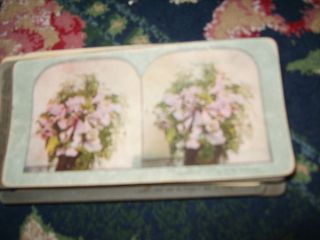   viewer picture photo Vase of Rare Orchids Ingersoll flowers