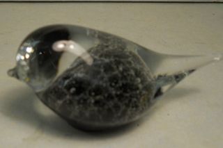 vtg Art Glass Bird Paperweight Hand Blown Glass by Randsjordglass of 