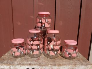 PINK PIGS 5 PIECE CANISTER/STORA​GE JAR SET  2 GALLONS AND 3 HALF 