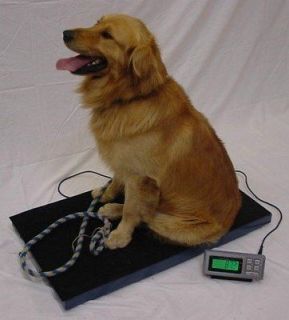 pet scale in Business & Industrial
