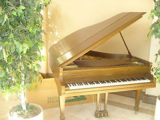 baby grand piano in Piano