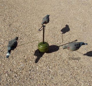   BY EXPEDITE TRIPLE PLAY DOVE MOTION MOTORIZED DECOY DEVICE PIGEON NEW