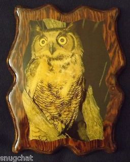   Collectible Lacquered Owl Photo Decoupage Wall Plaque Hanger