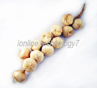 2x Artificial Garlic string decoration 12 realistic bulbs on a raffia 