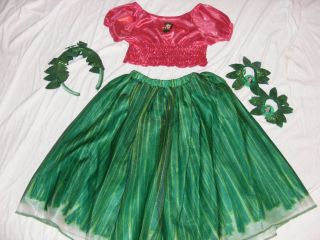   Store Lilo and Stitch Lilo Hula Costume Dress 2T Plus Accessories