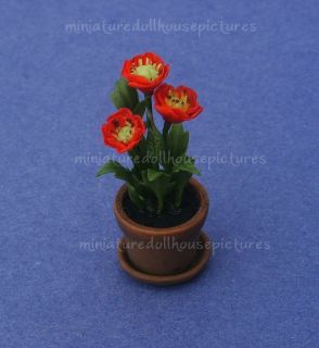 Miniature Dollhouse Orange Poppy Plants Flowers New