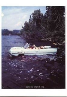 William Wegman Weimeraner Dog Dogs Maine Boat Postcard Amphibious Car