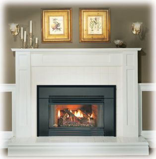 propane fireplace inserts in Fireplaces & Stoves