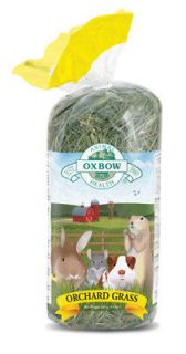 15oz Oxbow Orchard Grass rabbit gerbil guinea pig trea