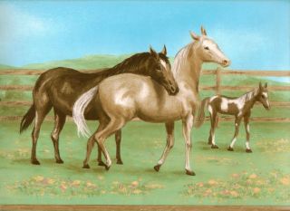 Golden Horses & Foals for Girls Sale$8.95 Wallpaper Border 246