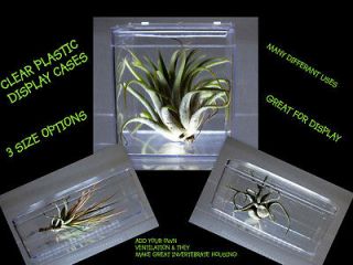 Tarantula,Spid​er,Insect ,cage, tank.Plastic Display box