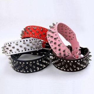 inch dog collar in Spiked & Studded Collars