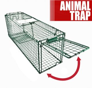Newly listed Live Animal Trap 31 x 9 x 11 Racoon Skunk Squirrel Cat 