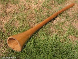 Hand made, One of a Kind Aboriginal Eucalyptus Didgeridoo +Special Bag