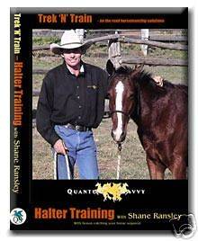 halter training catching by qs natural horsemanship halter training to