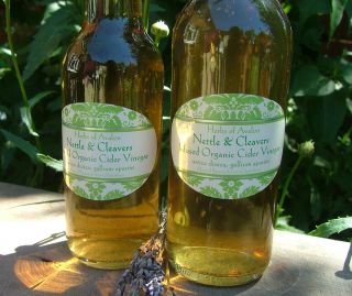   Cleavers Infused ORGANIC Cider Vinegar Urtica dioica, Galium aparine