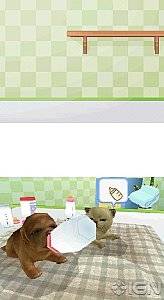 Petz Nursery 2 Nintendo DS, 2010