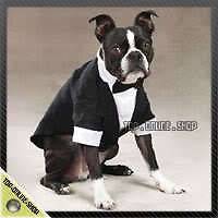 Groom Tuxedo Wedding Dress Shirt Suit Costume 10 13lb Dog Cat Pet 