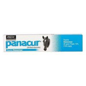 Panacur Horse Equine wormer 25g, NIP, Safe for Foals
