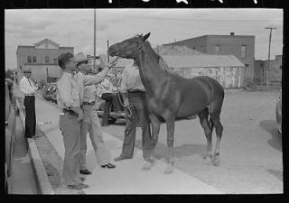 Displaying a horse for sale on the streets of Alpine,Texas