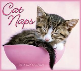 Cat Naps 2011, Calendar
