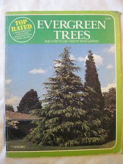 Top Rated Evergreen Trees and How to Use Them in Your Garden by John 