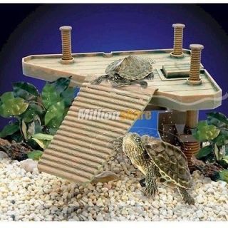 frog aquarium in Aquarium & Fish