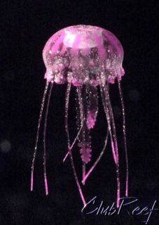 Eshopps Jellyfish Aquarium Ornament Glowing Blue/Clear Combo Pack